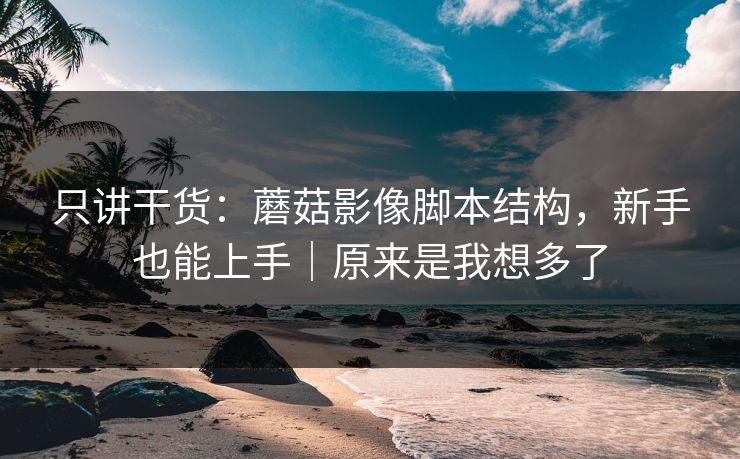 只讲干货：蘑菇影像脚本结构，新手也能上手｜原来是我想多了