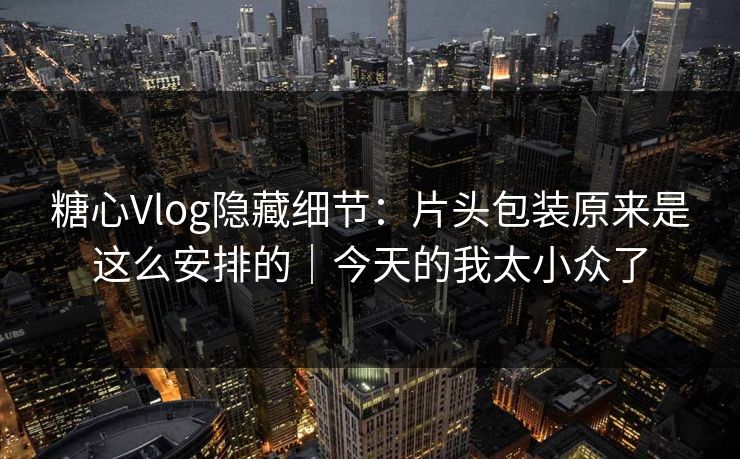 糖心Vlog隐藏细节：片头包装原来是这么安排的｜今天的我太小众了