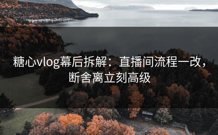 糖心vlog幕后拆解：直播间流程一改，断舍离立刻高级