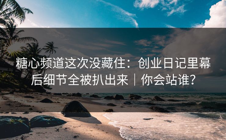 糖心频道这次没藏住：创业日记里幕后细节全被扒出来｜你会站谁？