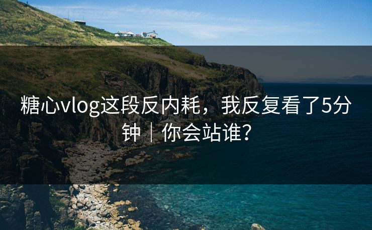 糖心vlog这段反内耗，我反复看了5分钟｜你会站谁？