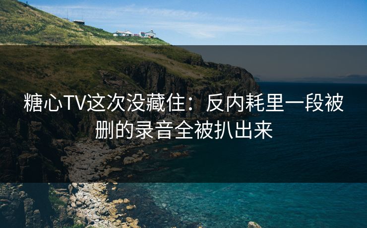 糖心TV这次没藏住：反内耗里一段被删的录音全被扒出来