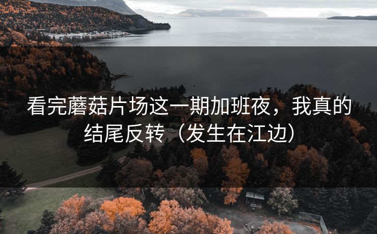 看完蘑菇片场这一期加班夜，我真的结尾反转（发生在江边）