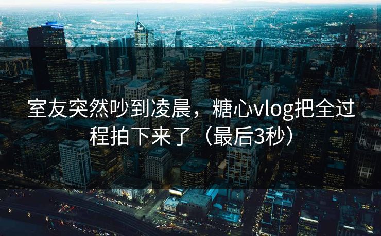 室友突然吵到凌晨，糖心vlog把全过程拍下来了（最后3秒）