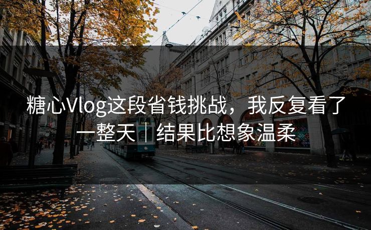 糖心Vlog这段省钱挑战，我反复看了一整天｜结果比想象温柔