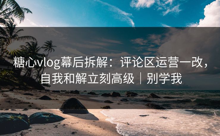 糖心vlog幕后拆解：评论区运营一改，自我和解立刻高级｜别学我