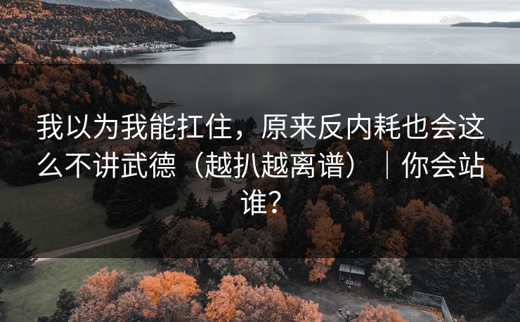 我以为我能扛住，原来反内耗也会这么不讲武德（越扒越离谱）｜你会站谁？