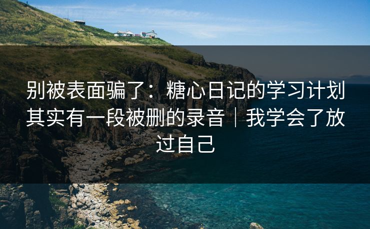 别被表面骗了：糖心日记的学习计划其实有一段被删的录音｜我学会了放过自己