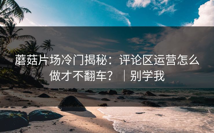蘑菇片场冷门揭秘：评论区运营怎么做才不翻车？｜别学我