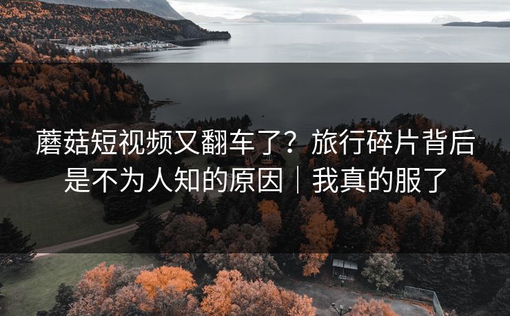 蘑菇短视频又翻车了？旅行碎片背后是不为人知的原因｜我真的服了