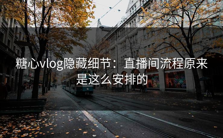 糖心vlog隐藏细节：直播间流程原来是这么安排的
