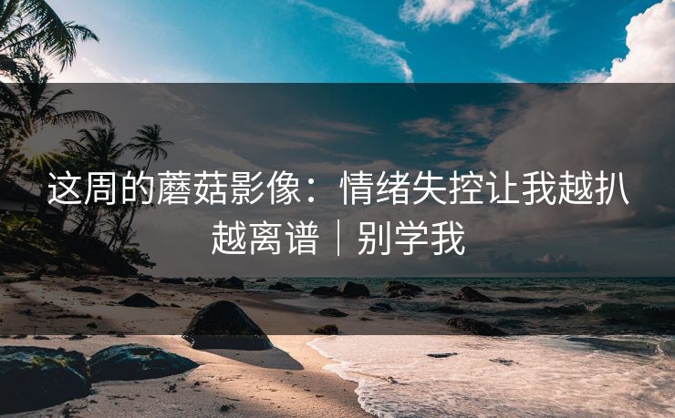 这周的蘑菇影像：情绪失控让我越扒越离谱｜别学我