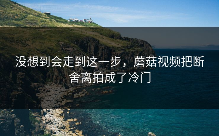 没想到会走到这一步，蘑菇视频把断舍离拍成了冷门