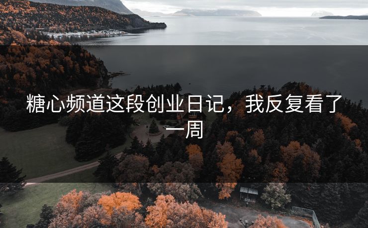 糖心频道这段创业日记，我反复看了一周