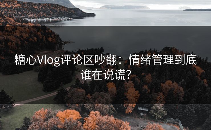糖心Vlog评论区吵翻：情绪管理到底谁在说谎？