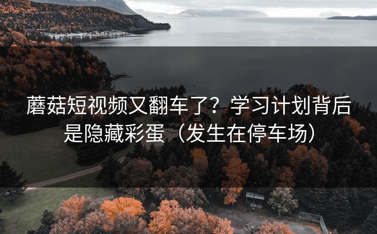蘑菇短视频又翻车了？学习计划背后是隐藏彩蛋（发生在停车场）